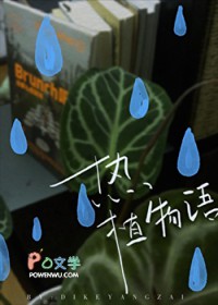 热植咖啡产品种类